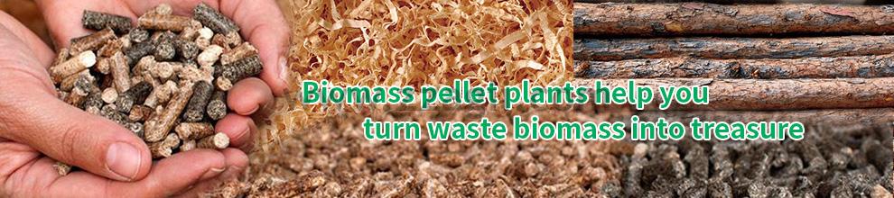 biomass wood pellet production line